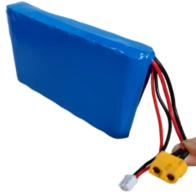 بسته باتری سفارشی 7s1p 18650 24V 3500mAh برای موتور 350W با پلاگین Xt60
